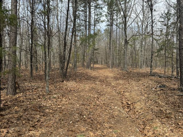 5293 County Road 3200, Mountain View, MO 65548