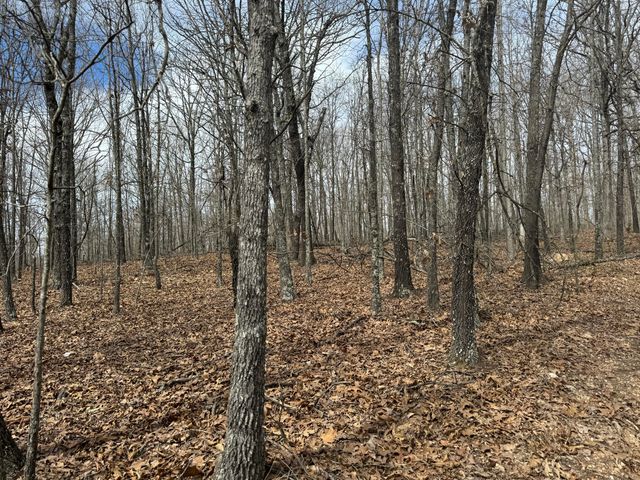 5293 County Road 3200, Mountain View, MO 65548