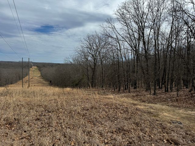 5293 County Road 3200, Mountain View, MO 65548