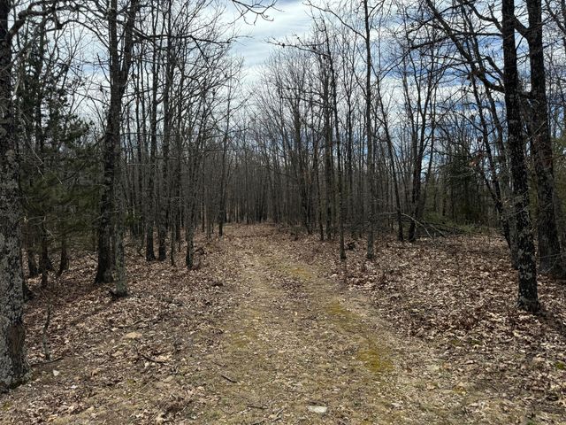 5293 County Road 3200, Mountain View, MO 65548