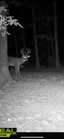 5293 County Road 3200, Mountain View, MO 65548