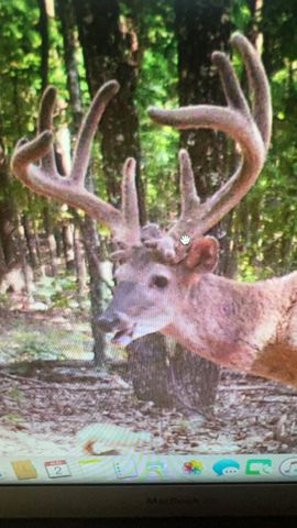 5293 County Road 3200, Mountain View, MO 65548