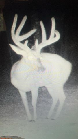 5293 County Road 3200, Mountain View, MO 65548