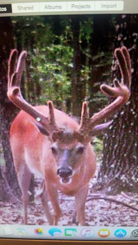 5293 County Road 3200, Mountain View, MO 65548