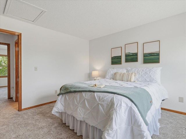 244 E 42nd Street, Loveland, CO 80538