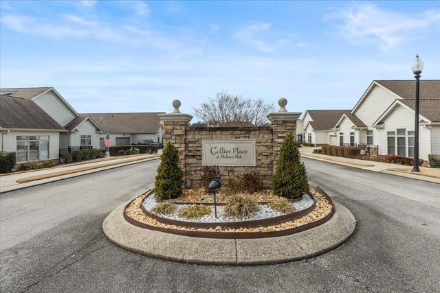 9661 Collier Place, Ooltewah, TN 37363