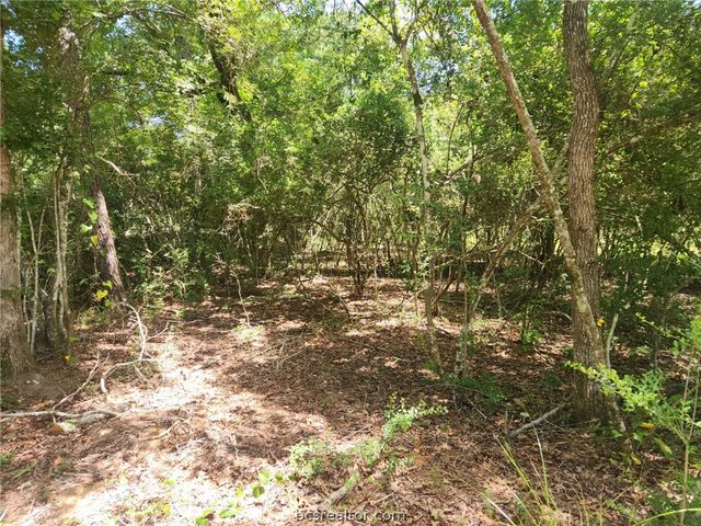 281 West Sierra Rd., Coldspring, TX 77331