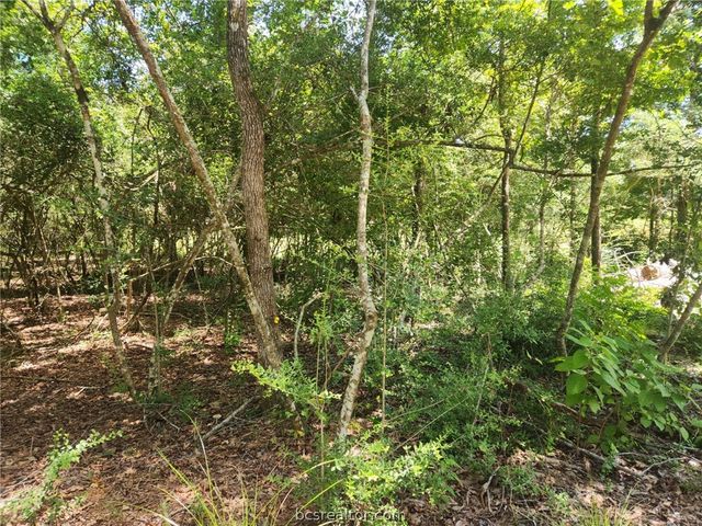 281 West Sierra Rd., Coldspring, TX 77331