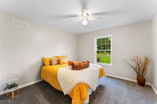 406 S Raccoon Road, Austintown, OH 44515