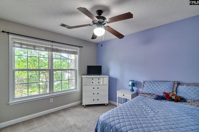 408 Plantation Pointe Drive, Elgin, SC 29045