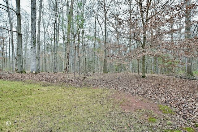 6070 Pierce Chapel Road, Midland, GA 31820