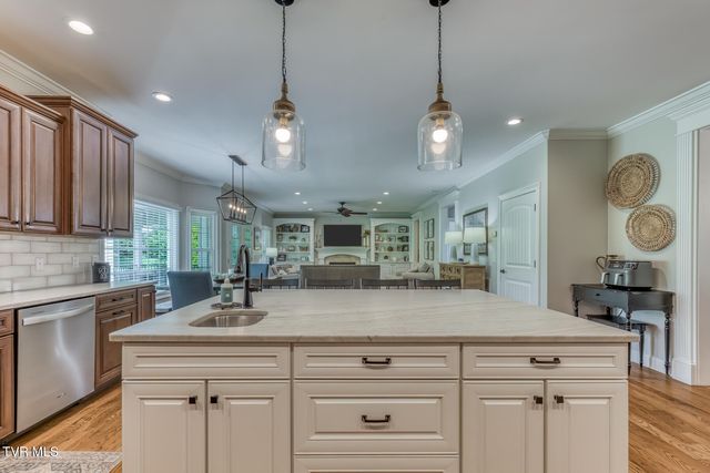 1348 Cattail Point, Johnson City, TN 37601