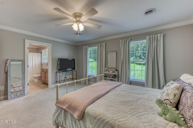 1348 Cattail Point, Johnson City, TN 37601