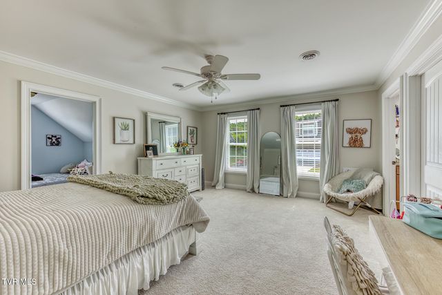 1348 Cattail Point, Johnson City, TN 37601