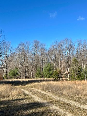 8716 Johnson Road, Custer Twp, MI 49615