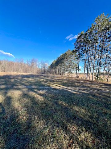 8716 Johnson Road, Custer Twp, MI 49615