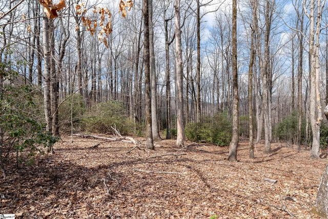 66 The Cliffs Parkway, Landrum, SC 29356