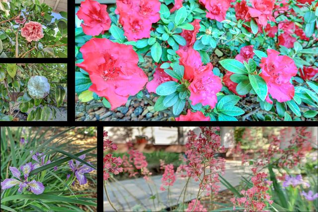 25799 Sweet Rd, Grass Valley, CA 95949