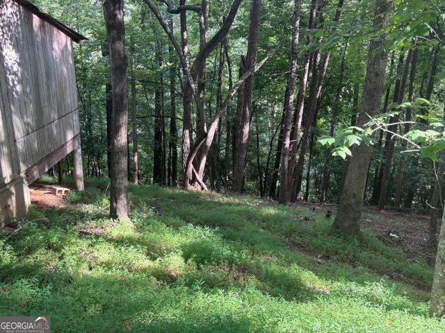 1163 Tipton Springs Road, Morganton, GA 30560