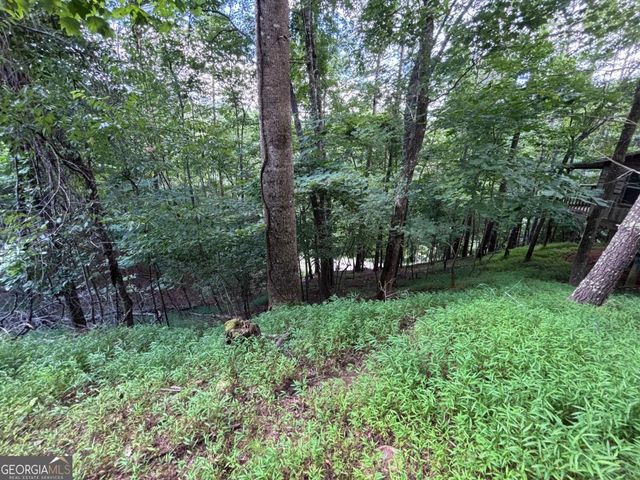 1163 Tipton Springs Road, Morganton, GA 30560