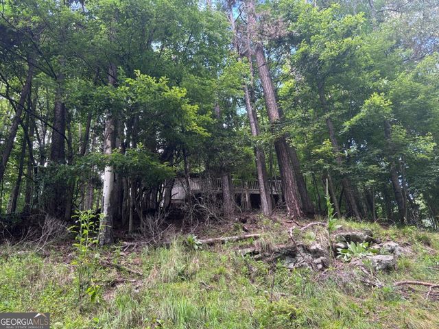 1163 Tipton Springs Road, Morganton, GA 30560