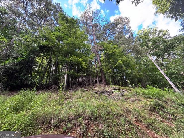 1163 Tipton Springs Road, Morganton, GA 30560