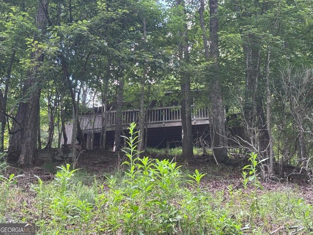 1163 Tipton Springs Road, Morganton, GA 30560