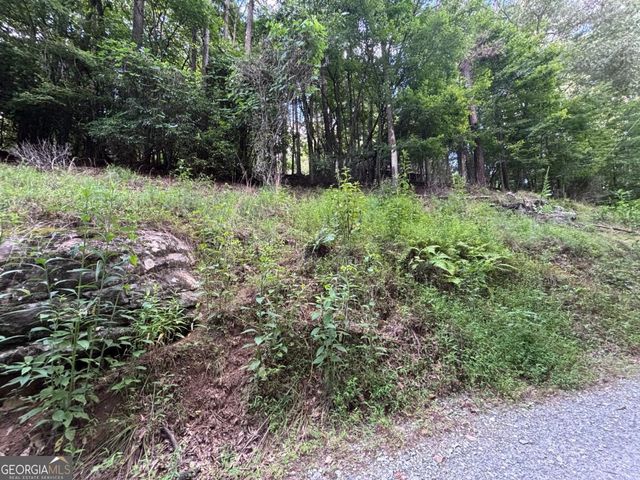 1163 Tipton Springs Road, Morganton, GA 30560