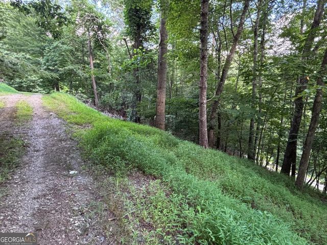 1163 Tipton Springs Road, Morganton, GA 30560