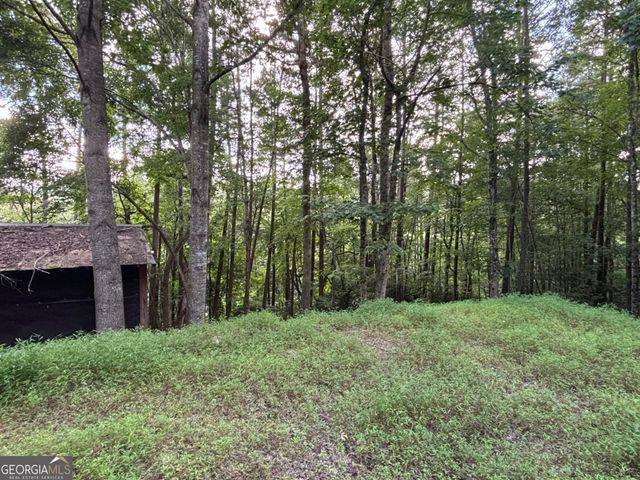 1163 Tipton Springs Road, Morganton, GA 30560