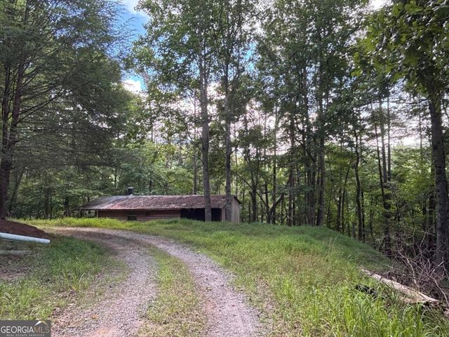 1163 Tipton Springs Road, Morganton, GA 30560