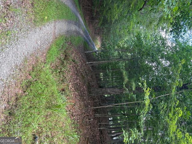 1163 Tipton Springs Road, Morganton, GA 30560