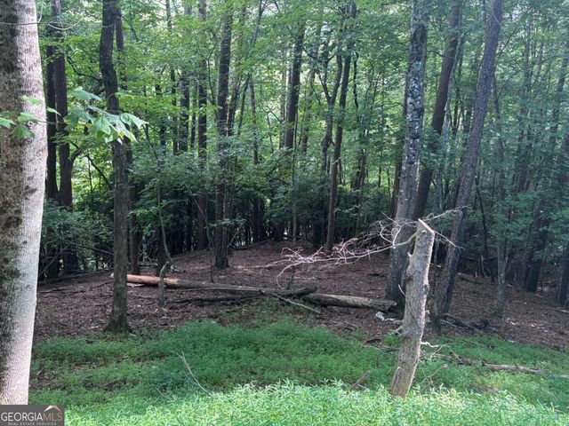 1163 Tipton Springs Road, Morganton, GA 30560