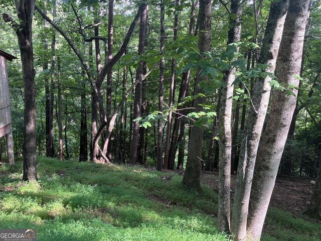 1163 Tipton Springs Road, Morganton, GA 30560
