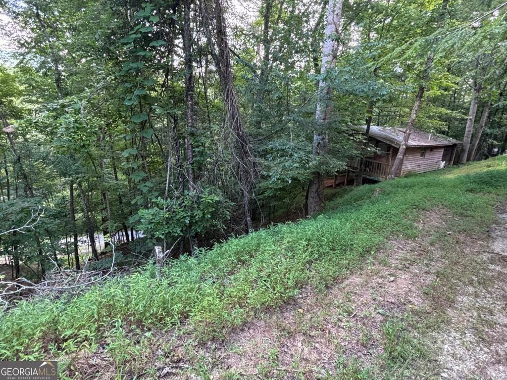 1163 Tipton Springs Road, Morganton, GA 30560