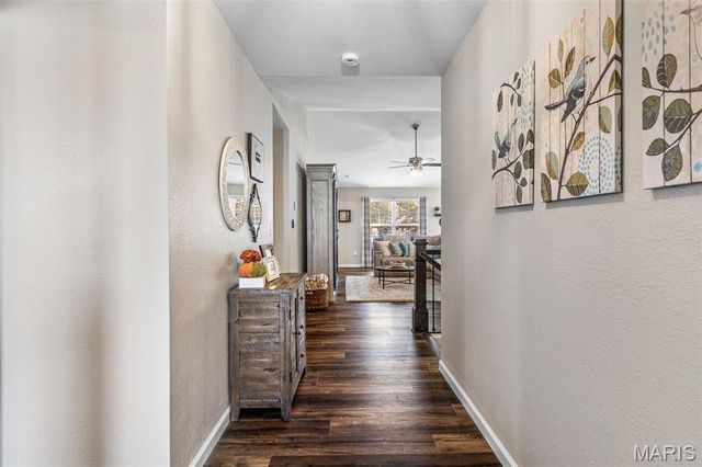 1133 Providence Way, Herculaneum, MO 63048