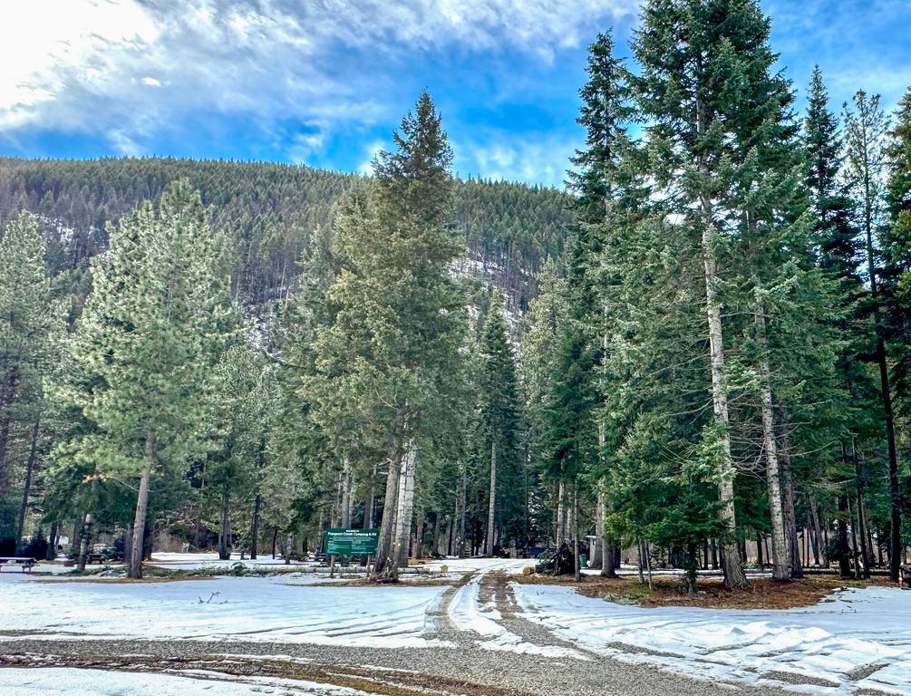 713 Prospect Creek Road, Thompson Falls, MT 59873 photo 51