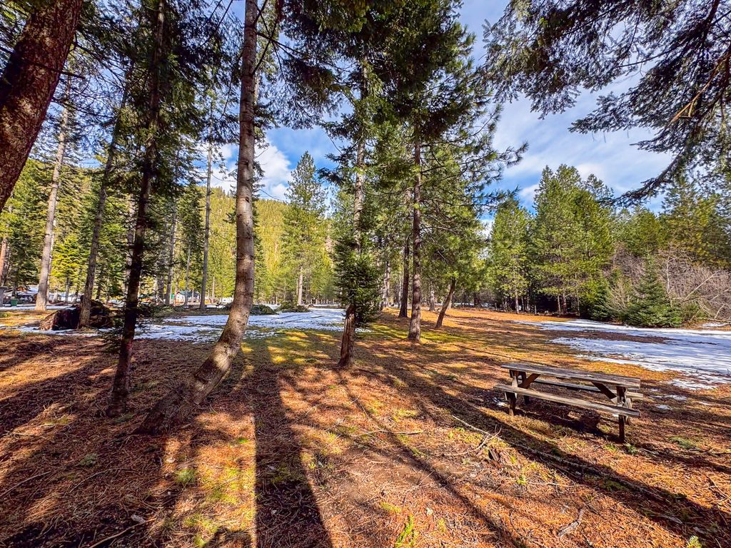 713 Prospect Creek Road, Thompson Falls, MT 59873 photo 59