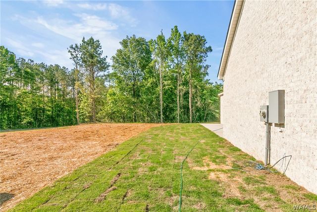 14161 TRES, Ralph, AL 35480