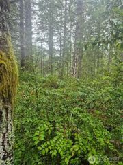 470 E Michelle Drive, Union, WA 98592