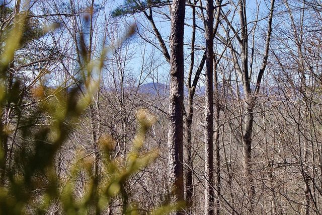 215 Zenith Trail, Ellijay, GA 30540