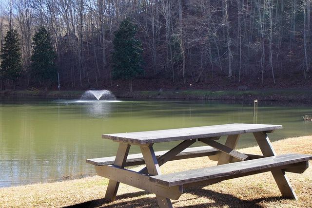 215 Zenith Trail, Ellijay, GA 30540