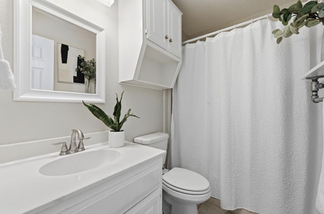 224 Maple DR, Mountain City, TX 78610