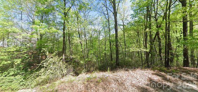 0 Buzzards Place, Lake Lure, NC 28746