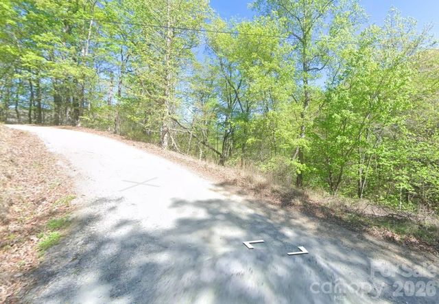 0 Buzzards Place, Lake Lure, NC 28746