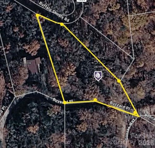 0 Buzzards Place, Lake Lure, NC 28746