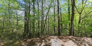0 Buzzards Place, Lake Lure, NC 28746