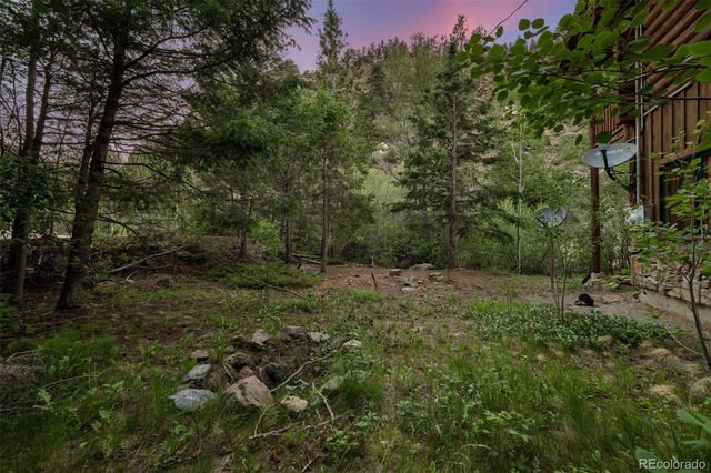 4825 Colorado 103, Idaho Springs, CO 80452