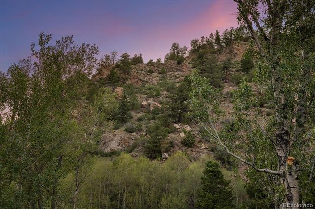 4825 Colorado 103, Idaho Springs, CO 80452