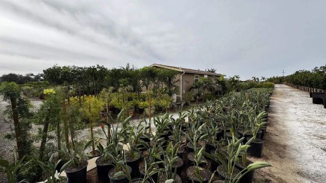 717 Ora Avo, Vista, CA 92084